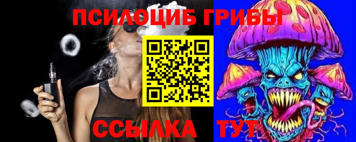 Псилоцибиновые грибы Psilocybe  Вход с VPN  Красноармейск 